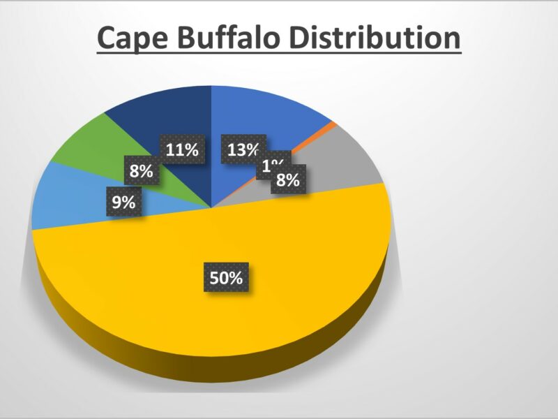 CAPE BUFFALO DISTRIBUTION