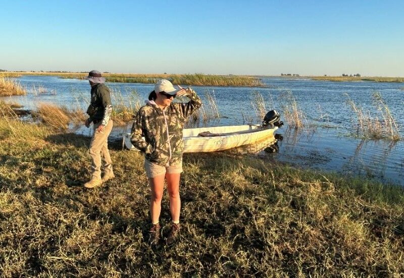 Hunting Crocodile in Namibia in a Mokoro