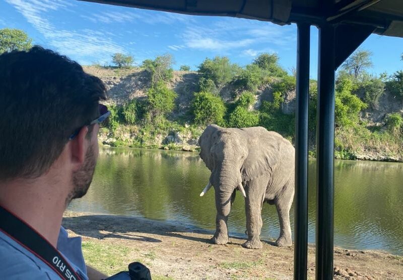 A man with a camera, watching an elephant at a waterhol.