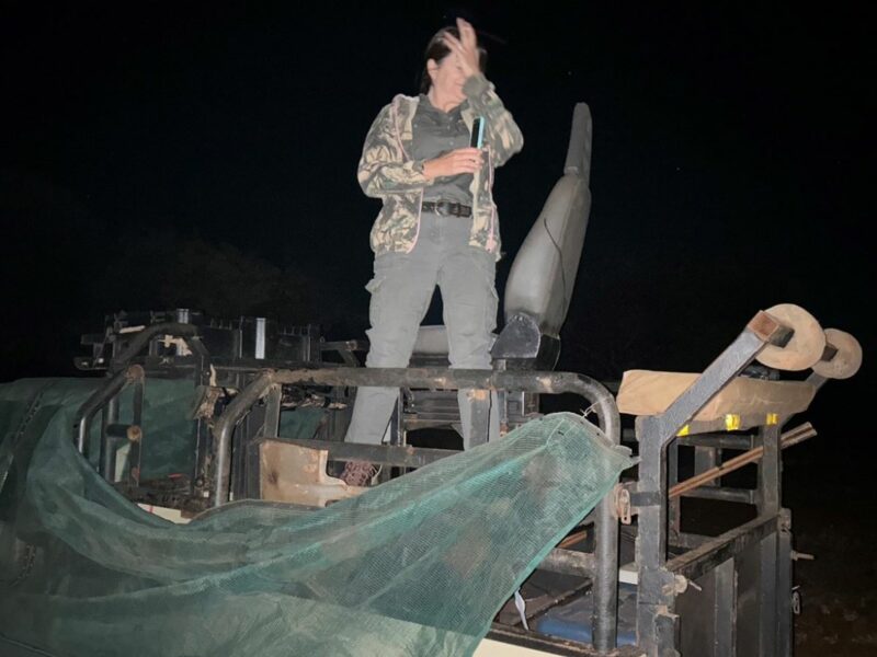 A lady standing on the back of a vehicle