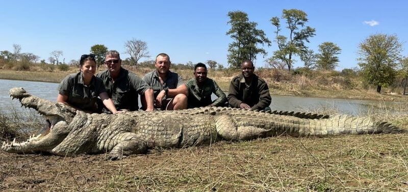 A trophy Crocodile measuring 14.9ft