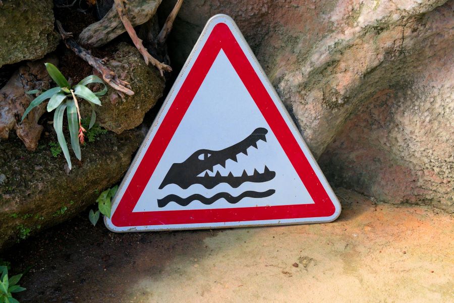 Triangular sign depicting a crocodile swimming, showing danger